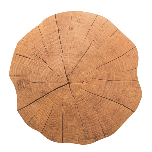 Lugar Americano Autumn Lyor, Plástico, Madeira - 1563 Menor preço em Lugar Americano Autumn Lyor, Plástico, Madeira - 1563